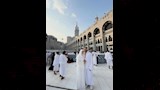 زيكو وزوجته (2)