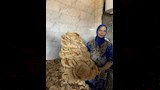انتاج العيش