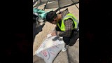 حملات رقابية