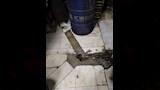 ضبط مصنع حلوى أطفال مخالفة داخل منشأة غير مرخصة (4)