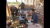 تعبئة المانجو
