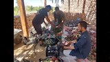 محصول المانجو الناعومي