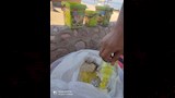 إعدام الأغذية الفاسدة 