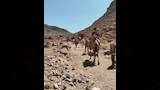 مسار الوصول _9