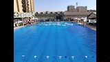 سباقات البطولة