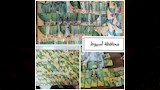 محافظة أسيوط