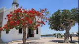  تقصده الراغبات في الإنجاب.. حكاية مسجد أبو مندور وبئر الأماني في البحيرة -صور