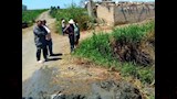 القطاع الزراعي في منطقة سهل الطينة شرق بورسعيد٤