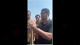 اصطياد ثعابين بالشرقية 7