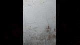أوقاف أسيوط توضح أسباب إزالة مئذنة مسجد المجذوب (3)