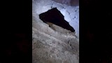 أوقاف أسيوط توضح أسباب إزالة مئذنة مسجد المجذوب (4)