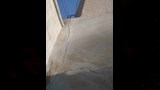 أوقاف أسيوط توضح أسباب إزالة مئذنة مسجد المجذوب (2)