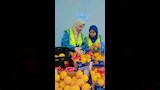 سلامة الغذاء تُسرّع إجراءات الإفراج عن الشحنات التصديرية (4)