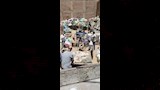 الجيزة تغلق مخازن خردة مخالفة بالطالبية وتتحفظ على 14 مركبة ومعدة (4)