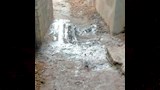 بني سويف يطالبون بإنشاء محطة للصرف الصحي (1)