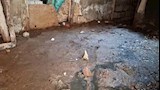 بني سويف يطالبون بإنشاء محطة للصرف الصحي (3)