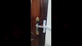 تشميع المركز