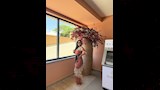 جوري بكر في أحدث ظهور