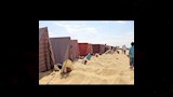 العلاج بالدفن فى الرمال واحة سيوة 4_10