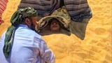 أجسادٌ تُدفن كي تحيا.. كيف تُذيب رمال جبل الدكرور أوجاع المرضى بواحة سيوة؟ -صور