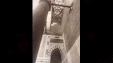 حقيقة انتشار الخفافيش بمجموعة الظاهر برقوق بشارع المعز (2)