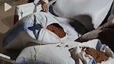 ضبط نوى بلح مطحون بدلاً من البن بالفيوم