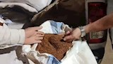 ضبط مصنع مخصبات يغش اليوريا المدعمة وسيارة بن من نوى البلح بالفيوم -صور