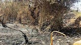 بالصور- حريق يلتهم 6 منازل في أسوان.. والمحافظ يوجه بصرف التعويضات
