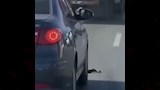 حقيقة فيديو ''شهامة سائق منعت كارثة'' على الطريق 