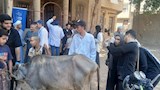 علاج أكثر من 2800 حالة ماشية وطيور بقافلة بيطرية مجانية بقرية المشايعة بالغنايم لدعم صغار المربين (1)