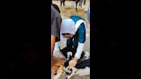 علاج أكثر من 2800 حالة ماشية وطيور بقافلة بيطرية مجانية بقرية المشايعة بالغنايم لدعم صغار المربين (15)