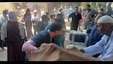 علاج أكثر من 2800 حالة ماشية وطيور بقافلة بيطرية مجانية بقرية المشايعة بالغنايم لدعم صغار المربين (12)