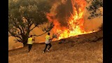 حرائق تونس والجزائر1