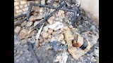 حريق مشتل الزراعة بمستعمرة الخزان في أسوان (4)