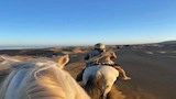 أماكن تصوير فيلم الأوديسة في المغرب
