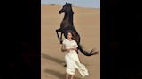 زوجة النني الثانية (5)