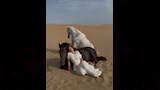 زوجة النني الثانية (6)