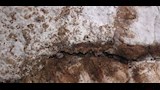 مقام  الست سلمى (3)