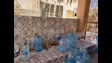 زجاجات المياه