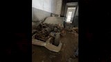 الصور الأولى للسيارة المنسوبة للرئيس عبدالناصر بالإسكندرية (12)