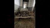 الصور الأولى للسيارة المنسوبة للرئيس عبدالناصر بالإسكندرية (10)