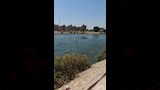 كواليس غرق طفلة بنيل القناطر (6)