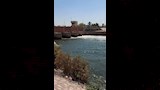 كواليس غرق طفلة بنيل القناطر (8)