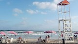رايات حمراء وصفراء على شواطئ الإسكندرية (1)