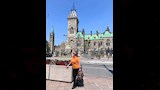 إلهام شاهين (5)