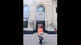 إلهام شاهين (6)