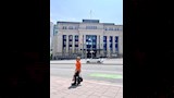 إلهام شاهين (19)