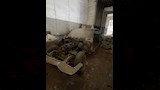 تقطيع السيارة المنسوبة للرئيس جمال عبدالناصر بالإسكندرية (2)
