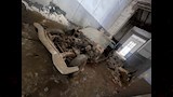 تقطيع السيارة المنسوبة للرئيس جمال عبدالناصر بالإسكندرية (5)
