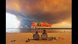لماذا يُتهم الشتاء بالتسبب في حرائق الغابات؟ (6)